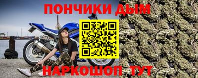 шишки Гусиноозёрск