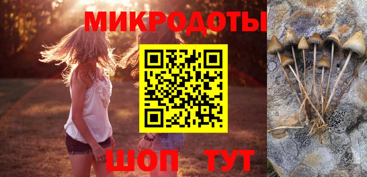 Галлюциногенные грибы мухоморы Орехово-Зуево